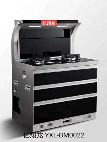 国内灶燃气,热水器,烟机,电热水器,消毒柜,环保灶,亿翔龙集团,国内厨具,厨房用品,帅运来,智荣好太太