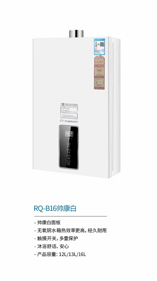 国内灶燃气,热水器,烟机,电热水器,消毒柜,环保灶,亿翔龙集团,国内厨具,厨房用品,帅运来,智荣好太太